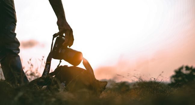 Small Scale Business Ideas For Beginner Entrepreneurs