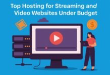 Top Hosting for Streaming and Video Websites Under Budget Top Hosting for Streaming and Video Websites Under Budget