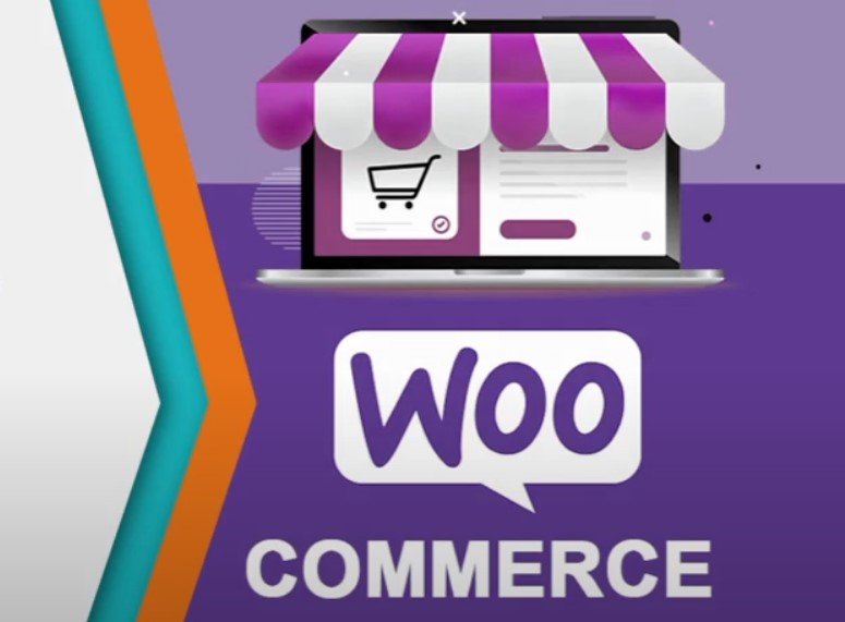 Understanding the Needs of WooCommerce Stores