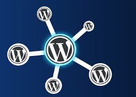 What is a WordPress Multisite Network